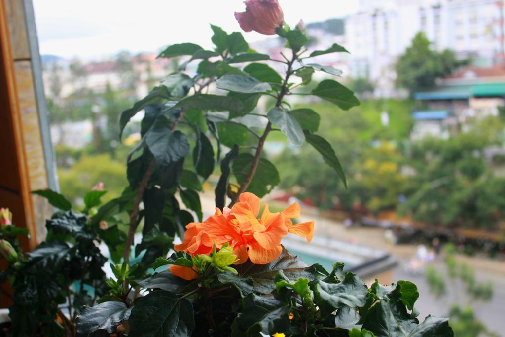 Gold Night Hotel Dalat Bagian luar foto